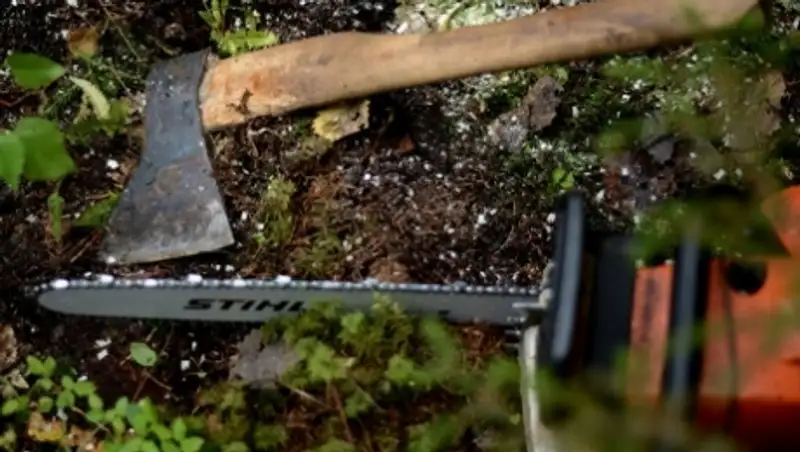 Акмолинцы готовятся к зиме, срубая деревья