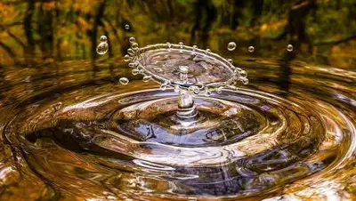 Pixabay, фото - Новости Zakon.kz от 10.01.2020 10:35