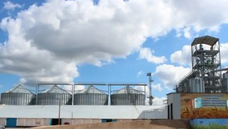 Двадцать тонн подсолнечника сгорело на элеваторе в Костанайской области