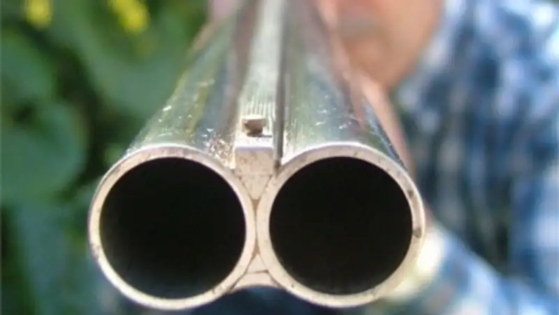 Житель Кокшетау стрелял по воротам родственника - в полиции рассказали подробности