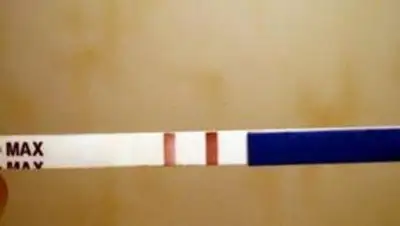 Zakon.kz, фото - Новости Zakon.kz от 31.07.2014 23:58