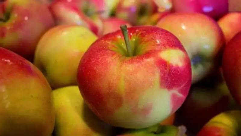 Казахстанские яблоки и томаты не пустили в Россию