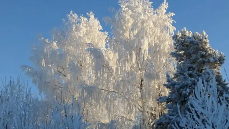 До плюс 5 ожидается в Казахстане