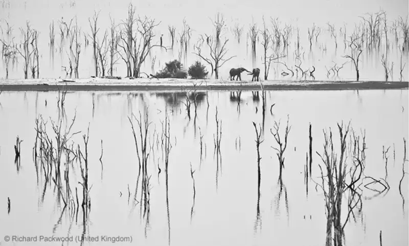 Победители фотоконкурса Wildlife Photographer 2013, фото - Новости Zakon.kz от 19.10.2013 18:59
