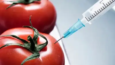 Zakon.kz, фото - Новости Zakon.kz от 31.01.2018 12:21