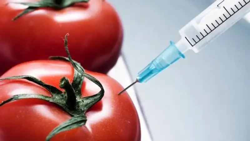 Депутаты предложили ужесточить наказание за отсутствие информации на продуктах о ГМО