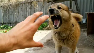 Zakon.kz, фото - Новости Zakon.kz от 11.02.2016 23:42