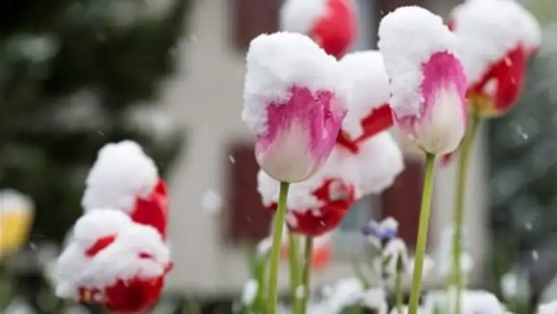 В воскресенье в Казахстане сохранится неустойчивая погода