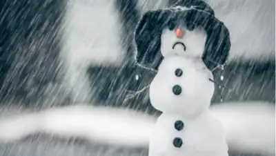 Хвиля, фото - Новости Zakon.kz от 12.02.2019 15:48