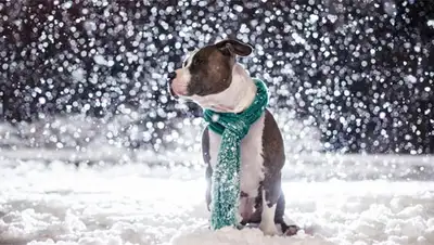 Zakon.kz, фото - Новости Zakon.kz от 12.11.2014 23:22