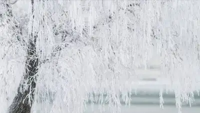 pxhere.com, фото - Новости Zakon.kz от 19.02.2021 16:20