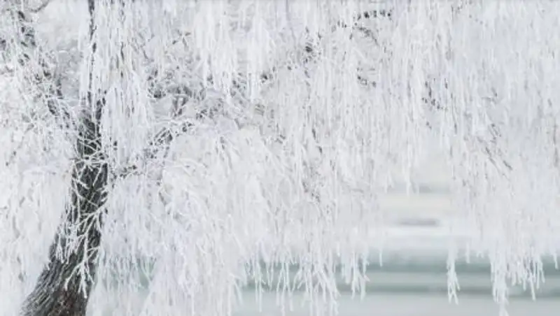 Какая погода будет 20 февраля