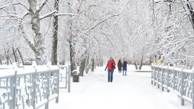 Фото: kurer-sreda.ru, фото - Новости Zakon.kz от 15.12.2017 14:43