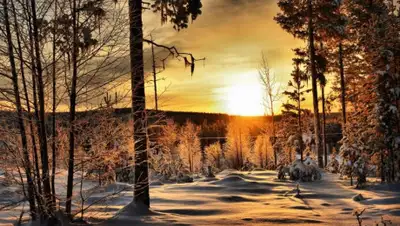 pxhere.com, фото - Новости Zakon.kz от 11.12.2019 11:59