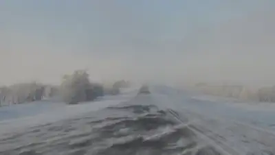 Zakon.kz, фото - Новости Zakon.kz от 28.03.2015 17:42