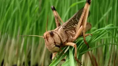 Zakon.kz, фото - Новости Zakon.kz от 18.11.2016 23:07