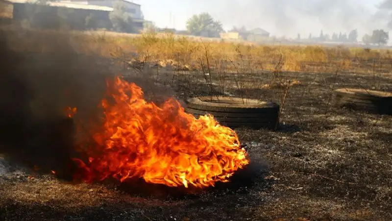 Пожар в Алматинской области, фото - Новости Zakon.kz от 28.08.2022 16:01