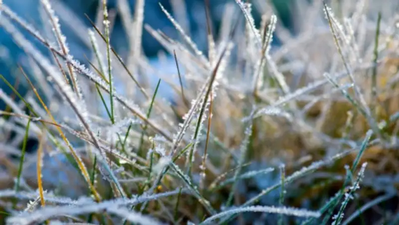 Заморозки до 1 градуса ожидаются в Нур-Султане и ряде регионов