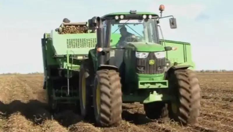 Фермеры ЗКО собрали богатый урожай картофеля