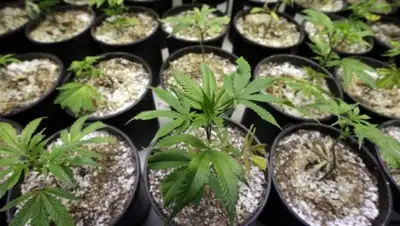 Zakon.kz, фото - Новости Zakon.kz от 26.06.2015 17:18