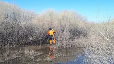 ДЧС Карагандинской области, фото - Новости Zakon.kz от 05.05.2021 20:44