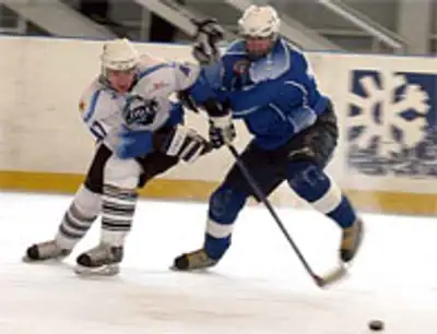 хоккейный матч, фото - Новости Zakon.kz от 28.12.2011 16:20