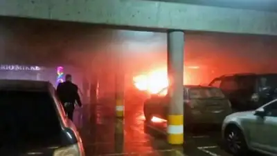 Zakon.kz, фото - Новости Zakon.kz от 11.07.2017 16:15