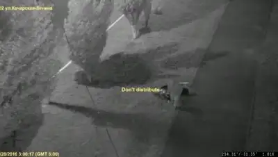 Zakon.kz, фото - Новости Zakon.kz от 30.06.2016 14:04