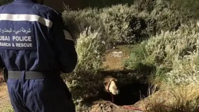 Zakon.kz, фото - Новости Zakon.kz от 27.05.2017 06:58