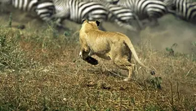 Zakon.kz, фото - Новости Zakon.kz от 13.08.2015 00:31