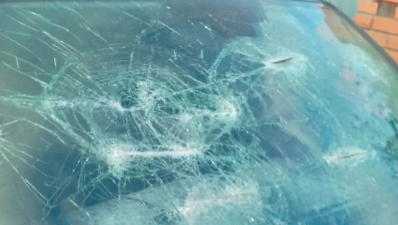 Подрался и повредил патрульную машину - два уголовных дела расследует полиция