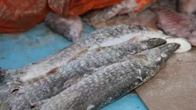 Zakon.kz, фото - Новости Zakon.kz от 04.05.2017 18:25