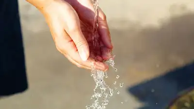 колонка, руки, фото - Новости Zakon.kz от 16.11.2022 13:35