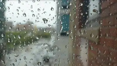 pxhere.com, фото - Новости Zakon.kz от 14.05.2021 15:57