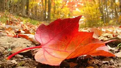 Zakon.kz, фото - Новости Zakon.kz от 22.09.2017 15:09