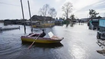 Zakon.kz, фото - Новости Zakon.kz от 20.04.2017 17:29