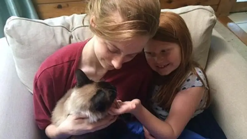 Кот-беглец 19 месяцев жил на Гавайях