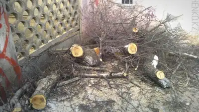 Zakon.kz, фото - Новости Zakon.kz от 18.10.2015 07:30