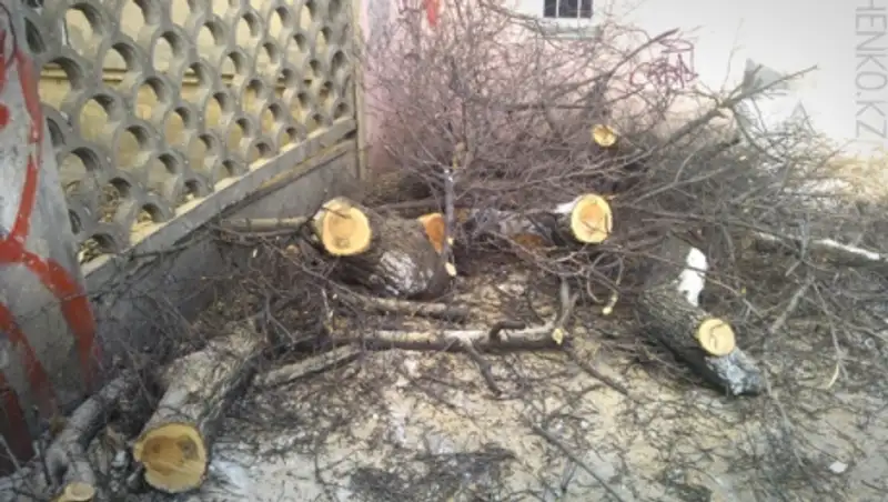 Алматинцы «разрывают» телефоны службы 109