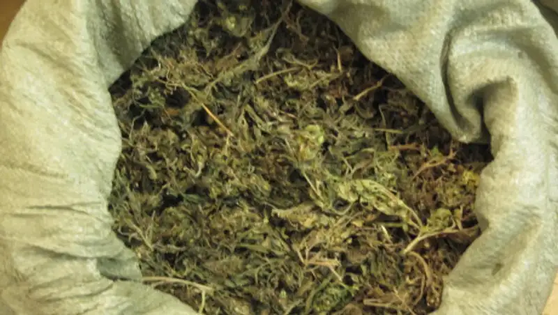 Полицейские Нур-Султана задержали наркоторговца с 80 кг марихуаны