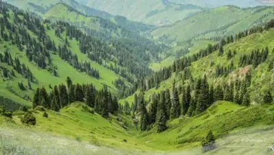 zakon.kz, фото - Новости Zakon.kz от 10.06.2020 16:24