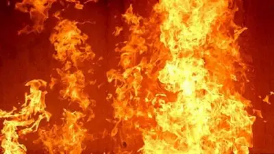 RiaTaza, фото - Новости Zakon.kz от 06.07.2018 16:56