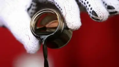 Zakon.kz, фото - Новости Zakon.kz от 22.04.2015 01:57