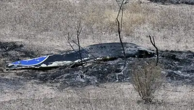 Zakon.kz, фото - Новости Zakon.kz от 23.06.2015 15:36