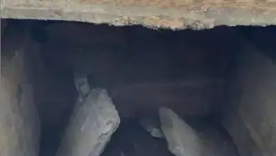 instagram.com/p/CTsGSzBMTme, фото - Новости Zakon.kz от 12.09.2021 07:09