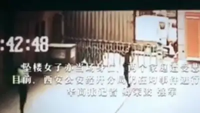 Фото: кадр из видео, фото - Новости Zakon.kz от 15.12.2017 15:51