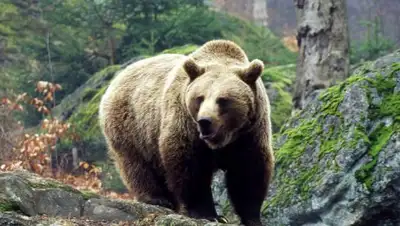 Zakon.kz, фото - Новости Zakon.kz от 01.08.2017 18:23