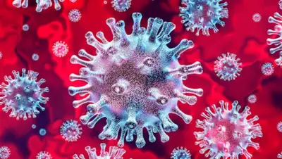 24.kz, фото - Новости Zakon.kz от 04.08.2020 11:07