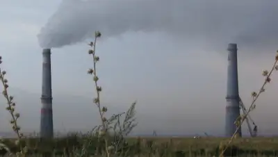 Википедия, фото - Новости Zakon.kz от 02.07.2019 16:59