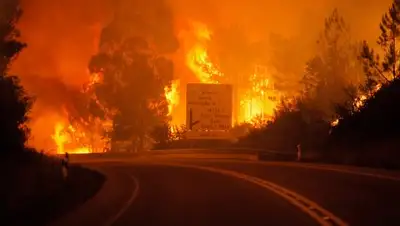 Zakon.kz, фото - Новости Zakon.kz от 19.06.2017 04:05